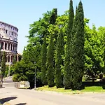 Miclad Colosseum