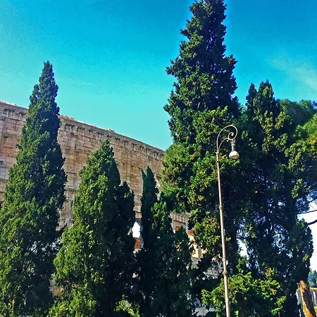 Miclad Colosseum רומא